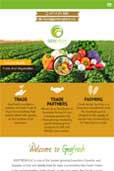 web design company dubai