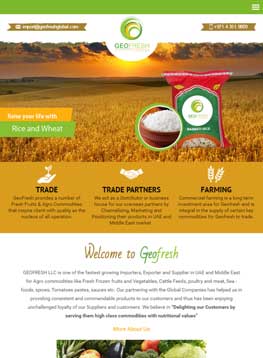 web design company dubai
